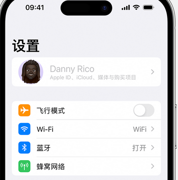 安州appleID维修服务iPhone设置中Apple ID显示为灰色无法使用 