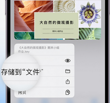 安州apple维修中心分享iPhone文件应用中存储和找到下载文件