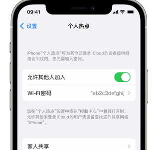 安州apple服务站点分享iPhone上个人热点丢失了怎么办