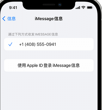 安州apple维修iPhone上无法正常发送iMessage信息 