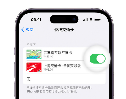 安州apple维修点分享iPhone上更换Apple Pay快捷交通卡手绘卡面 