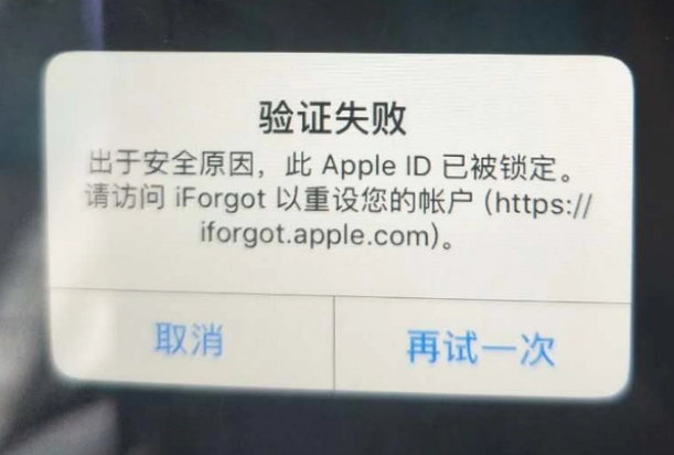 安州iPhone维修分享iPhone上正常登录或使用AppleID怎么办 