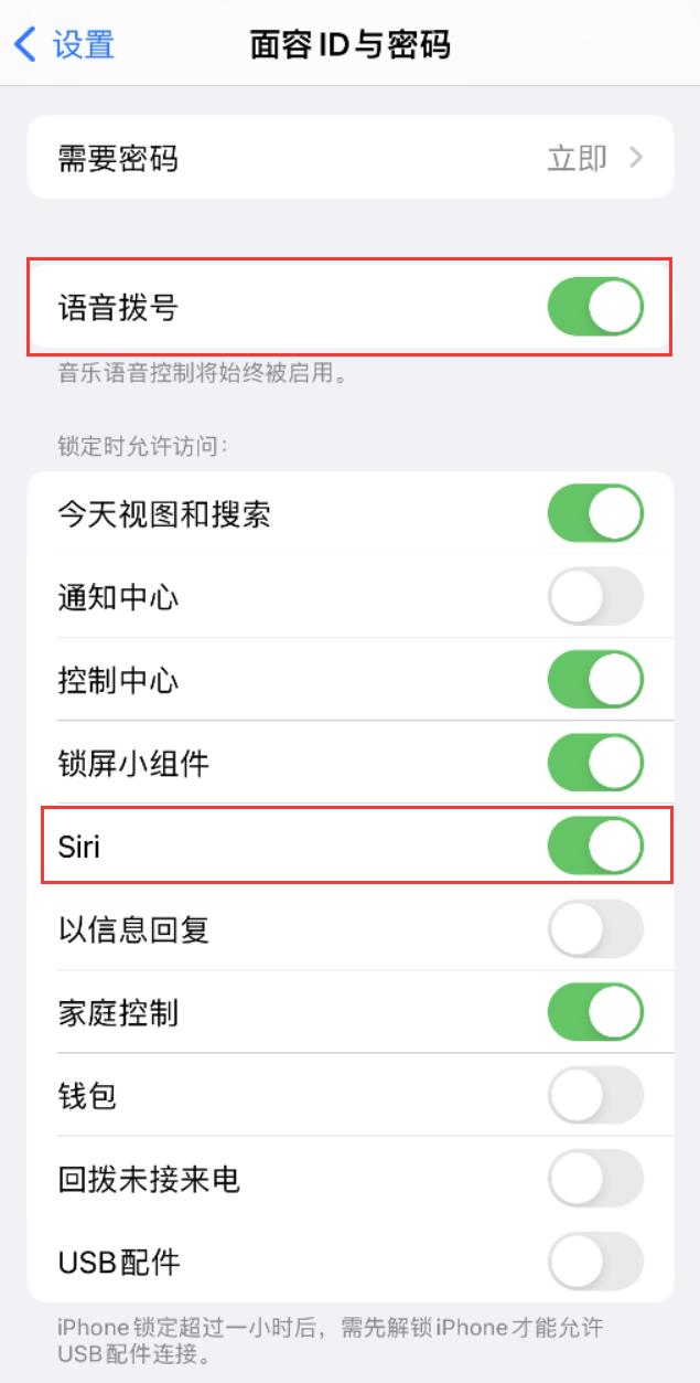 安州苹果维修网点分享不解锁 iPhone 的情况下通过 Siri 拨打电话的方法 