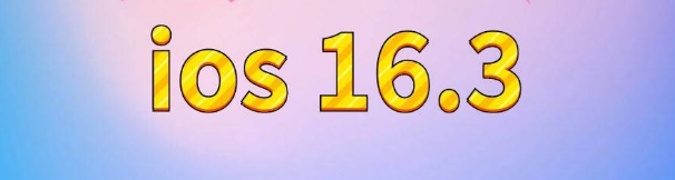 安州苹果服务网点分享苹果iOS16.3升级反馈汇总 