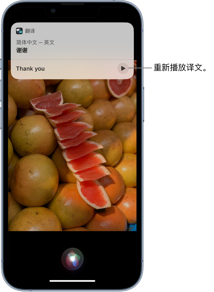 安州苹果14维修分享 iPhone 14 机型中使用 Siri：了解 Siri 能帮你做什么 