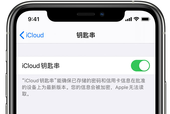 安州苹果手机维修分享在 iPhone 上开启 iCloud 钥匙串之后会储存哪些信息 