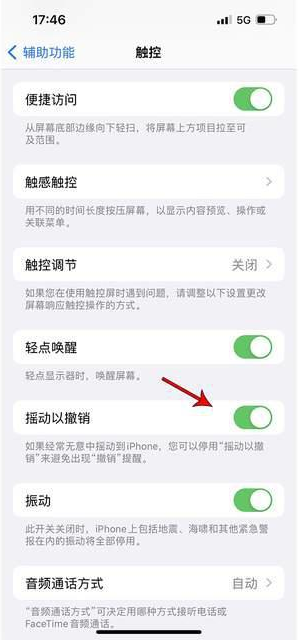 安州苹果手机维修分享iPhone手机如何设置摇一摇删除文字 